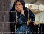 The Afghan Refugee Crisis 
