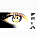 FEFA Records  11,000 Instances of Anomalies