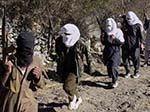 Taliban Militants Seize 80  Villages in Northern Afghanistan