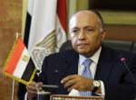 Foreign Countries did not Coordinat with Egypt on Security: FM