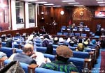 Senators Call for Holding of Loya Jirga in Afghanistan