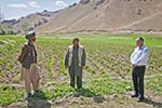 Condition of Agriculture in Afghanistan!