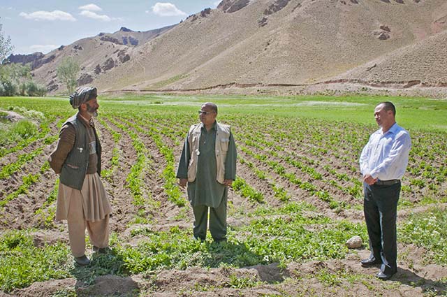 Condition of Agriculture in Afghanistan!
