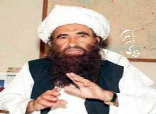 Taliban Ready for Dialogue Based on Shariah: Haqqani