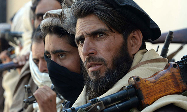 Taliban Willing to Resume Peace Talks with Kabul: Report