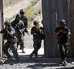 Afghan Forces Kill 302 Militants in Week as Crackdowns Against Militant Groups Continue