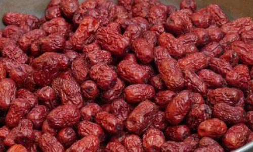 Mail Plans Ahead as Jujube  Harvest Hits 3,600 Tons this Year