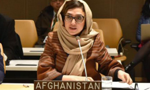 Afghanistan Enacts Comprehensive Counter-Terrorism Strategy: Raz