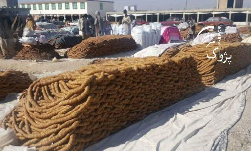 Kandahar Dry, Fresh  Fruit Exports up by 40pc