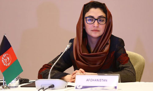UN Picks Afghan Envoy as VP of Palestinian Committee