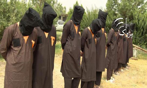 9 Suspected Criminals Detained in Khost Raids
