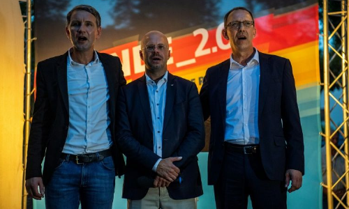 Germany’s Far-Right Afd Elects New Leaders as Radical’s Rise