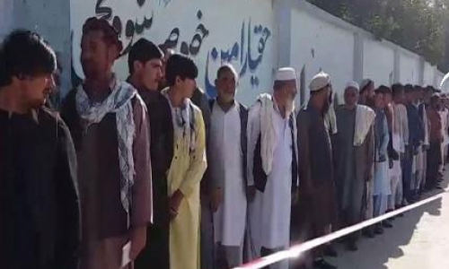 Taliban Kill Poll Panel  Worker in Sar-I-Pul