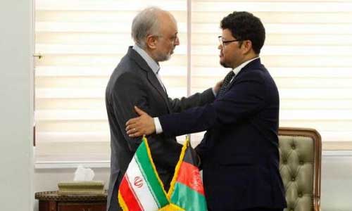 Afghanistan, Iran Agree to  Expand Nuclear Cooperation  for Peaceful Purposes