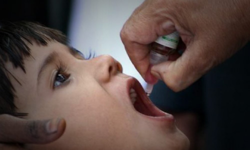 Polio Vaccination Ramped-Up after 4 New Cases