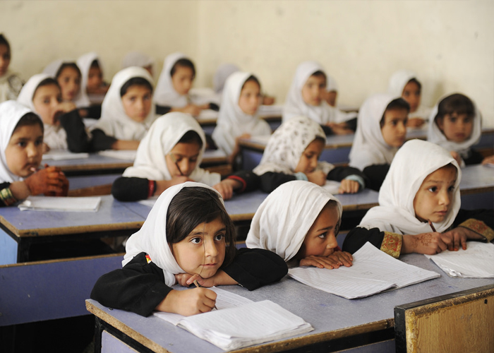Development of education in Afghanistan The Daily Outlook Afghanistan