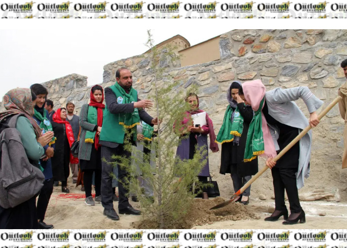 Women Launch Tree  Plantation Drive in Kabul