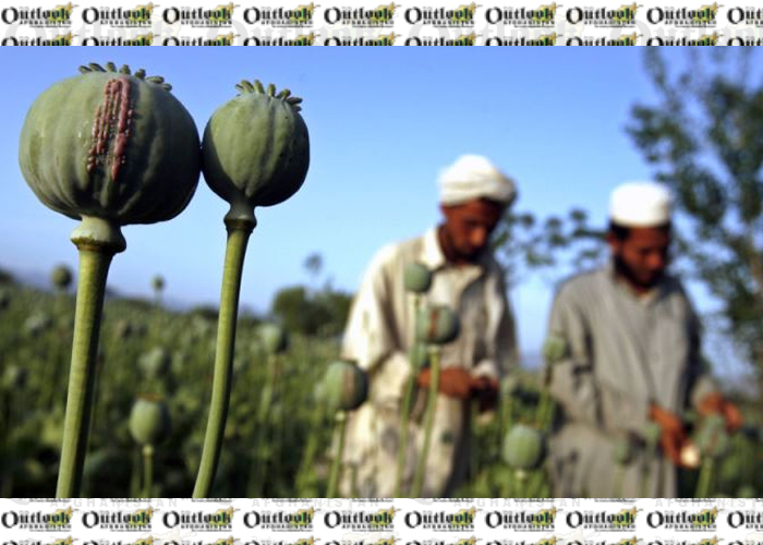 The world Day against Drug Abuse and its Implications in Afghanistan