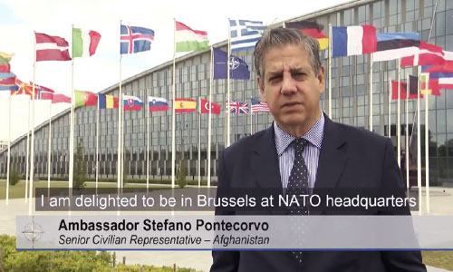 Taliban Violence Is  Unacceptable, It Has to  Go Down: NATO SCR
