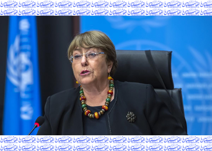 World in ‘Severe Cascade of Human Rights  Setbacks’, UN Human Rights Chief Warns