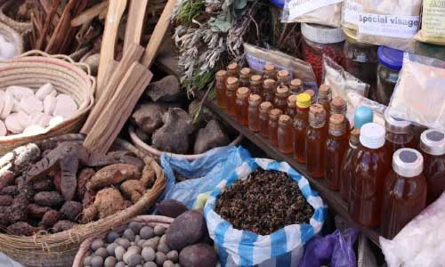 WHO to set up center on traditional medicine  in India