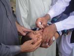 Polio Vaccination Drive Begins  in East