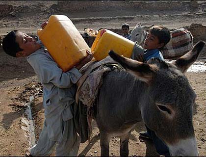 Three Million Afghans  Hit By Drought 