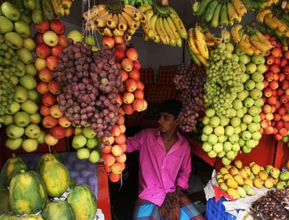 Dried and Fresh  Fruits Export to Reach 55,000 Tons this Year