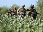Opium, Afghanistan and the Demand Factor