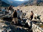 Senators Criticize Development Process in Afghanistan
